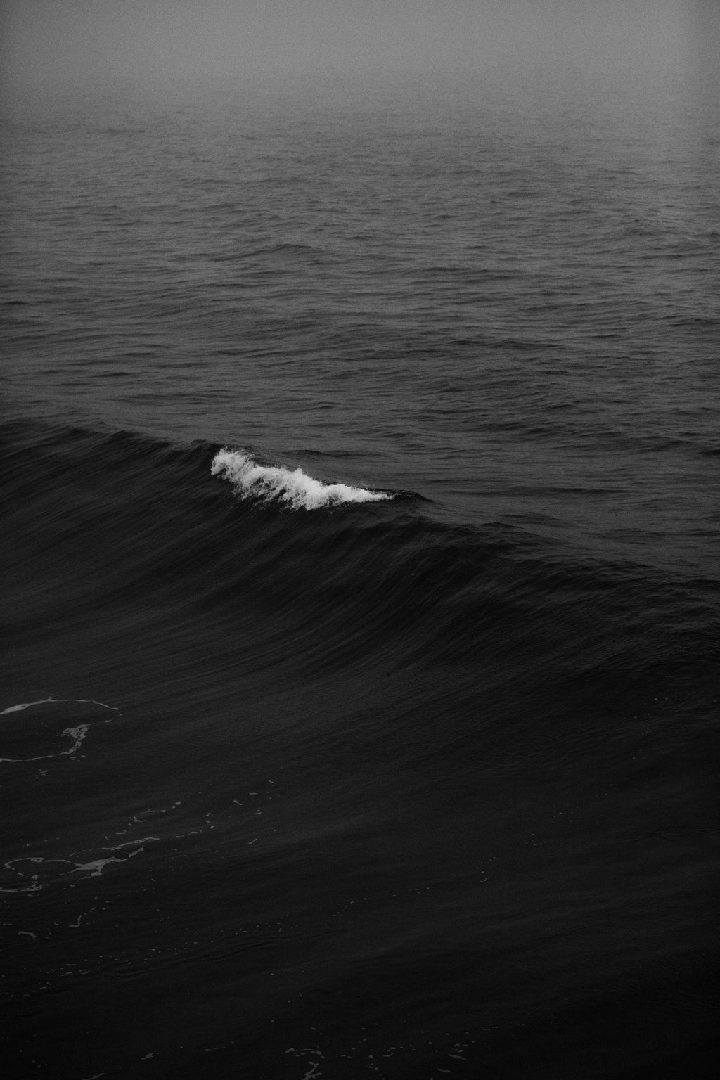 The Tide