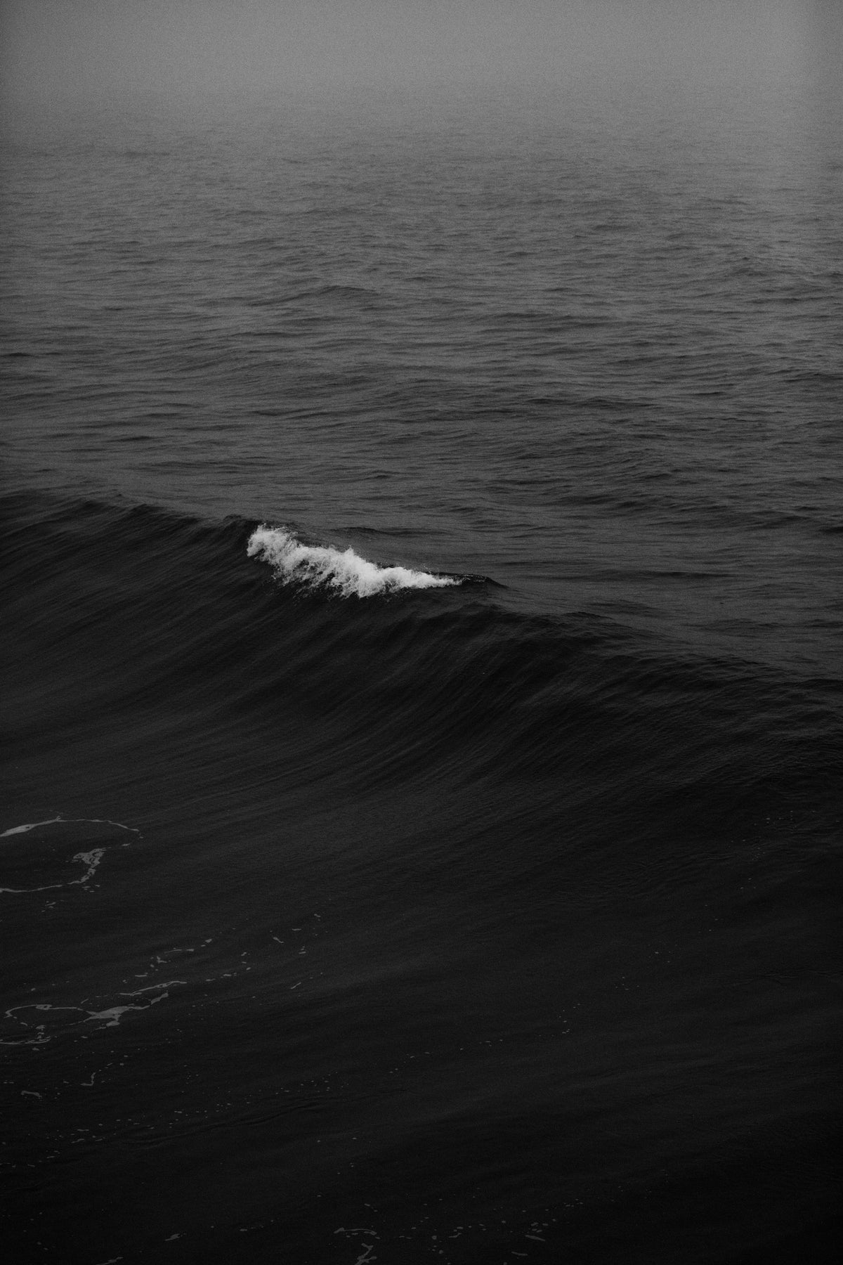 The Tide